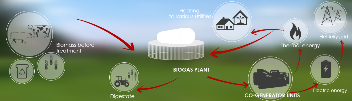 Biogas Energy Plant