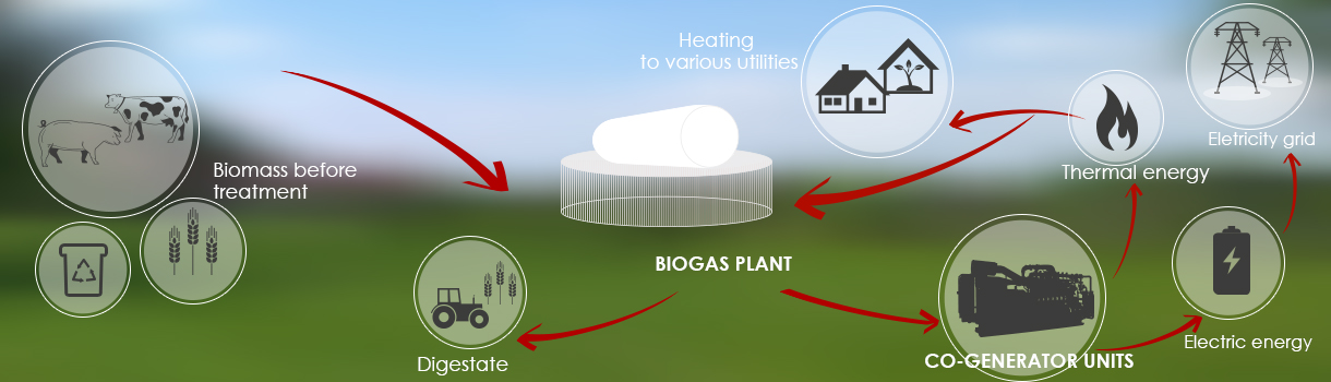 Biogas Energy Plant Biogas Energy Plant