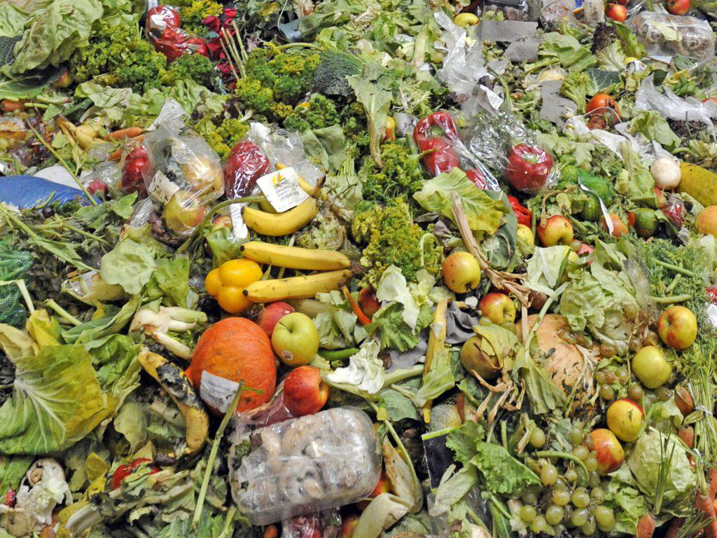 The Loss Rate Of Food Waste Organic Matter Is High, How To Extract Organic Matter With High Efficiency And Proportion?