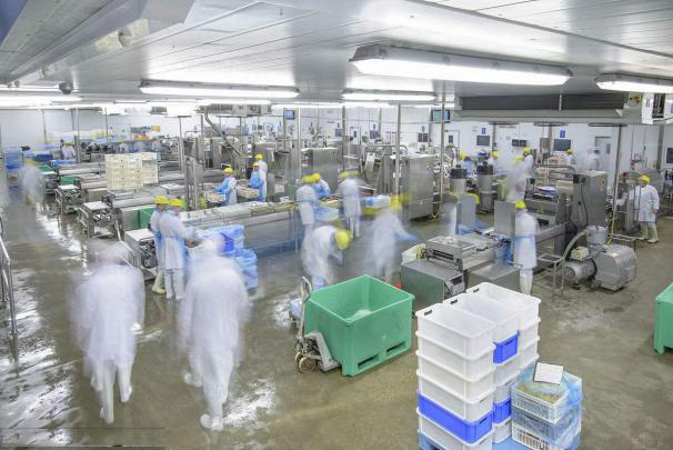 Food processing plant