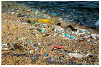 Environmental Solutions For Plastic Bottles In The Microplastic Crisis