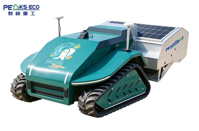 Beach cleaning robot
