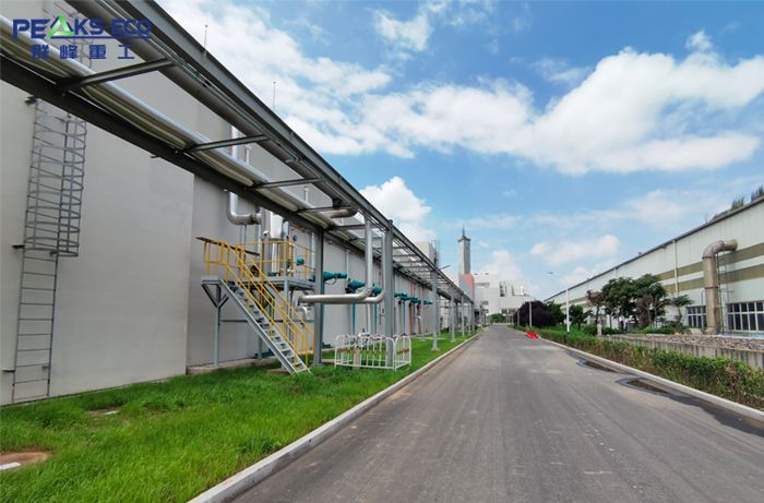 Biogas Energy Plant