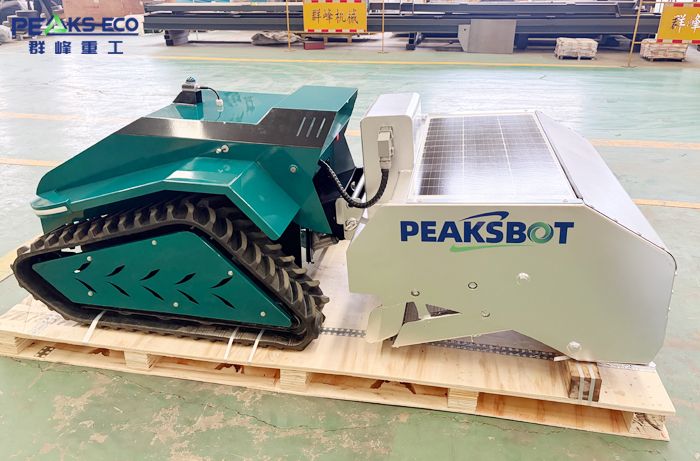 Beach cleaning robot