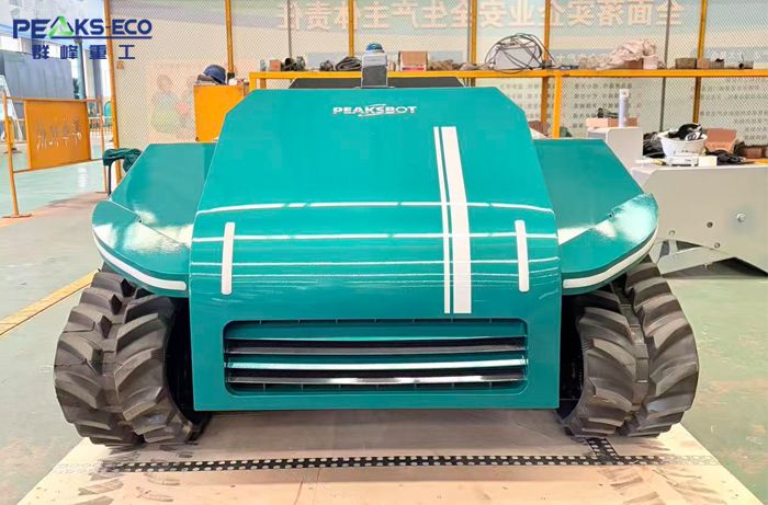 Beach cleaning robot