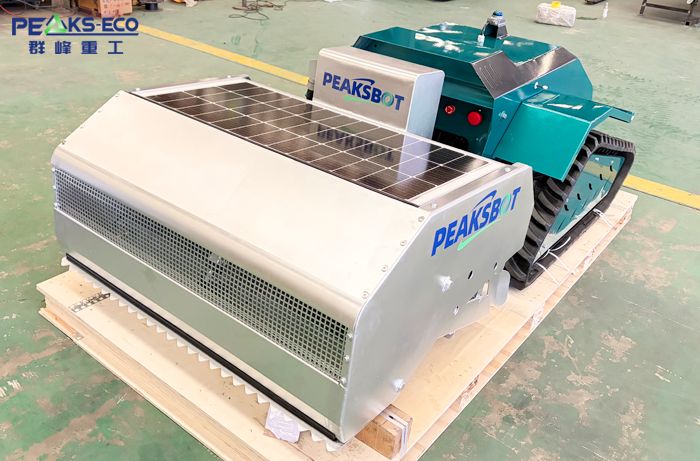 Beach cleaning robot